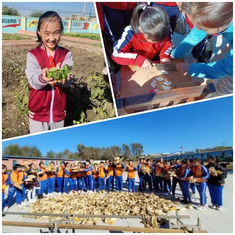 教育等相關文件精神,全區各中小學校依託分水小學基地,通過認知農具