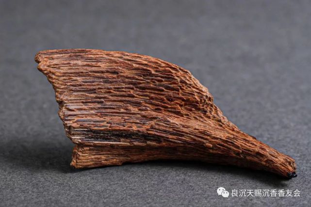 梁辰说沉香之富森红土沉香及芽庄土沉