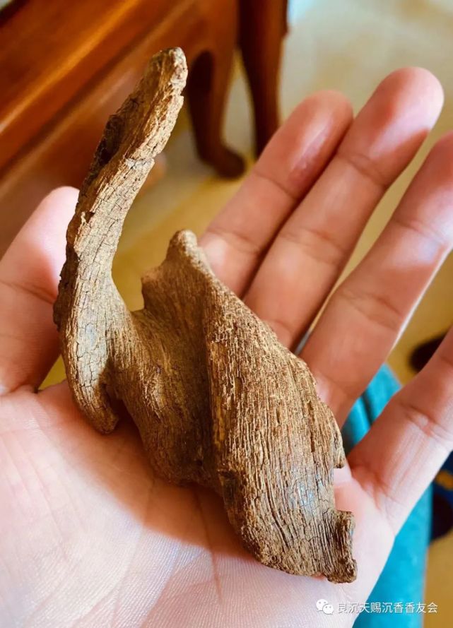 梁辰说沉香之富森红土沉香及芽庄土沉
