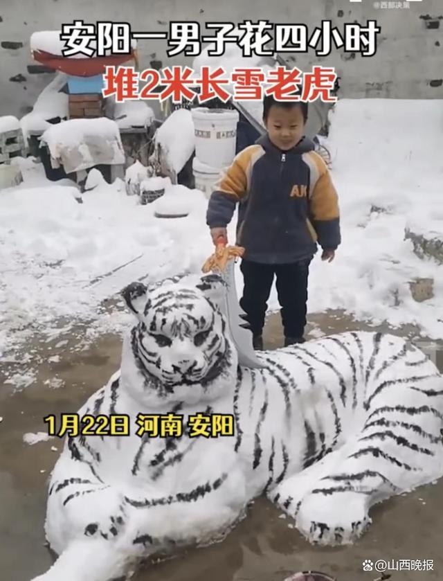 雪堆老虎图片