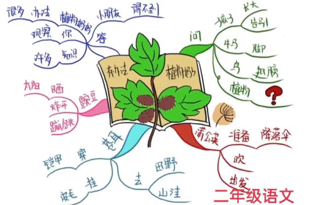 小学生如何通过画思维导图来提升学习效率呢?