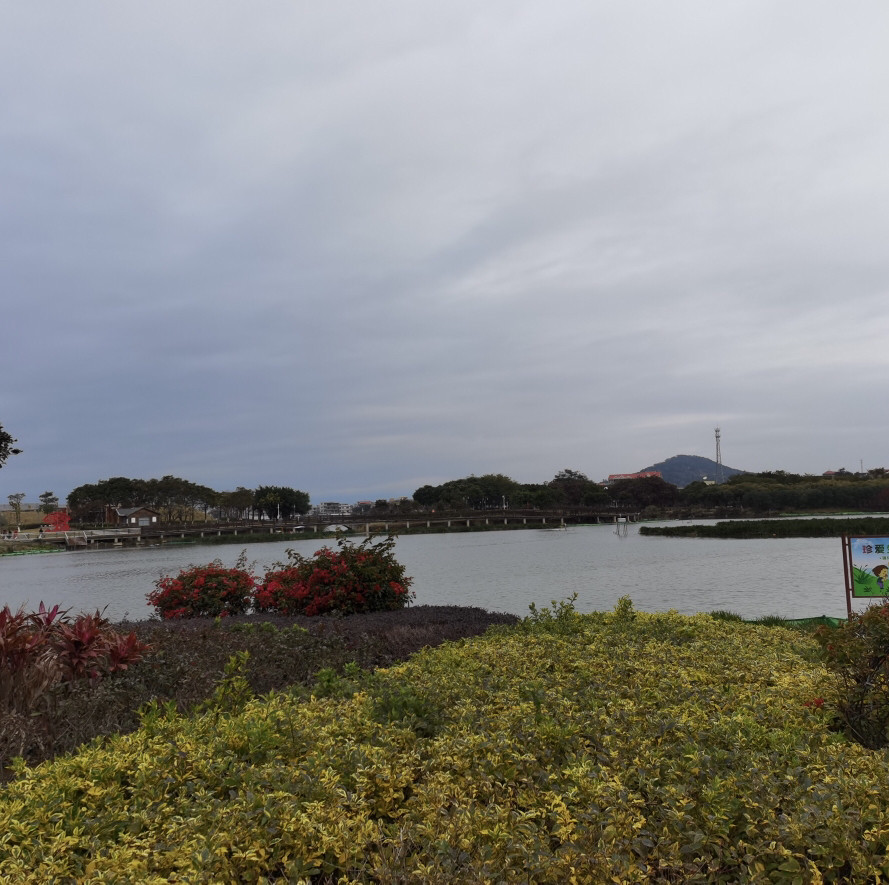 镜头里的美丽乡村秀屿区土海湿地公园冬日风光一