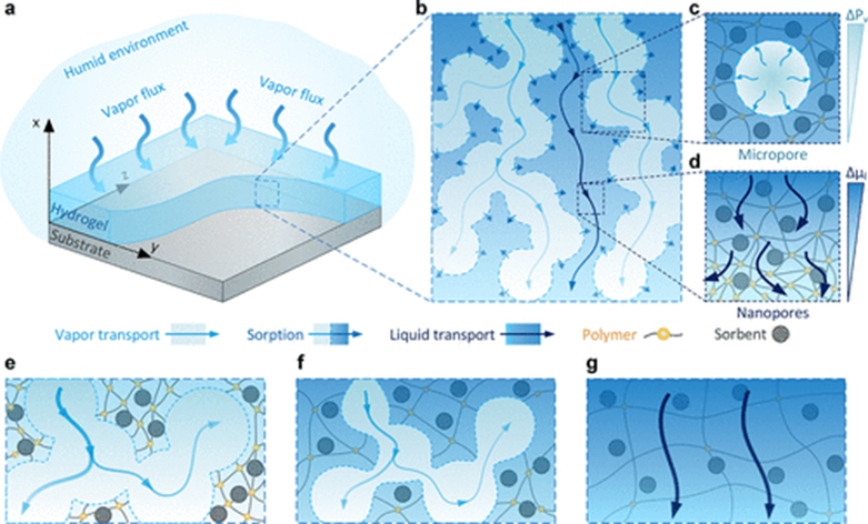 nanoletters麻省理工学院张乐楠伊夫琳王吸湿性水凝胶中的吸附动力学