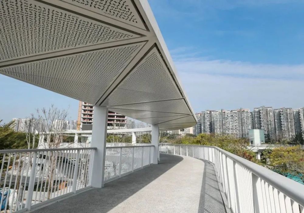 滨海廊桥面向市民开放新的城市地标来了