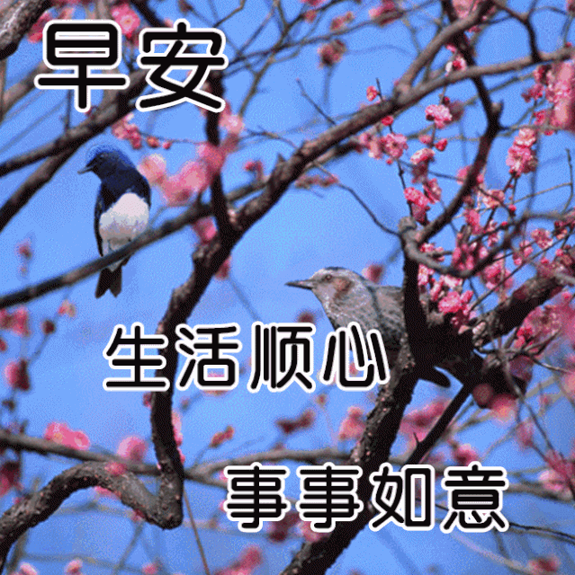 1月25日小年早上好问候每日一语