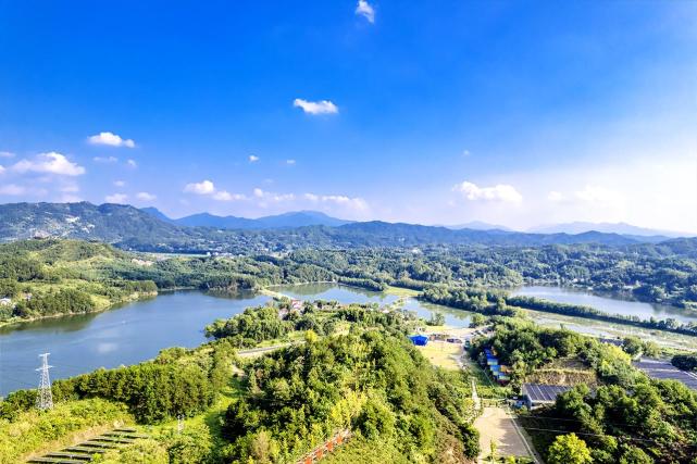 賞花遊園沐湯迎新來英山四季花海歡樂滿滿過春節新年氛圍拉滿