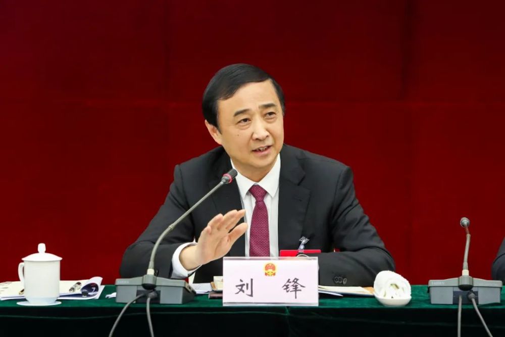 刘锋参加乐平代表团审议