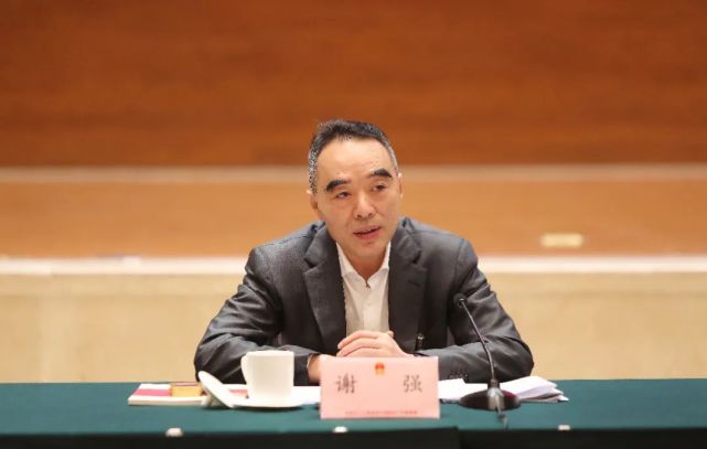 市人大常委会天府新区工作委员会主任,天府新区代表小组副组长谢强