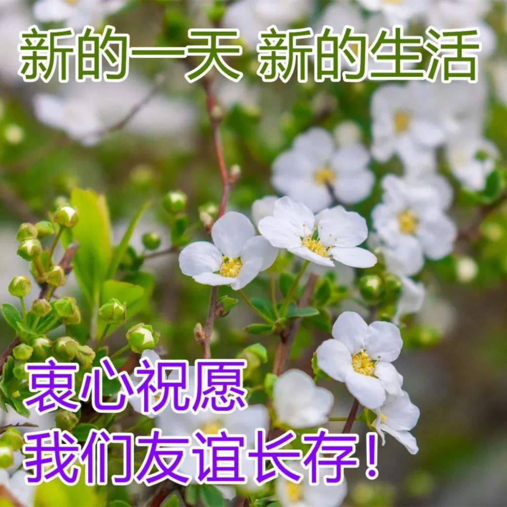 微信很有創意的早安精美圖片帶字送朋友的早安問候祝福語