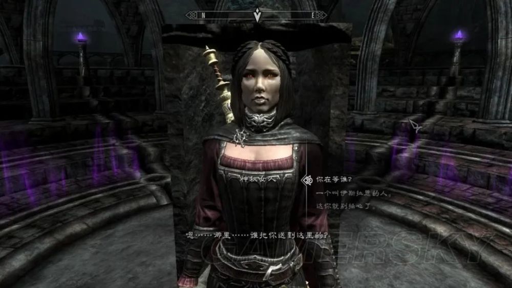 再比如,《 上古卷轴 5 》里面玩家可以招揽到一个叫瑟拉娜的吸血鬼