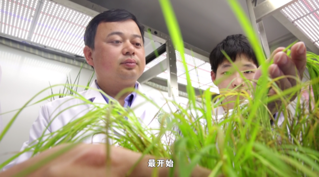 米润娇 李佳蓺 苏温馨this is changsha梁山长沙,满"星"幸福周志诚