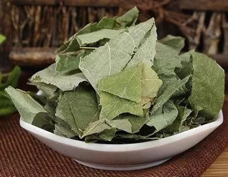 中药材—淫羊藿