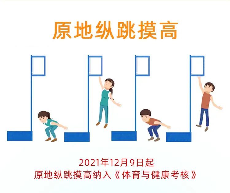 年货上架啦宝宝拍摸高器弹跳科学训练快乐长高助力中考