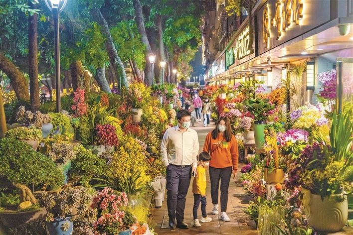深圳迎春花市怎么逛去哪逛
