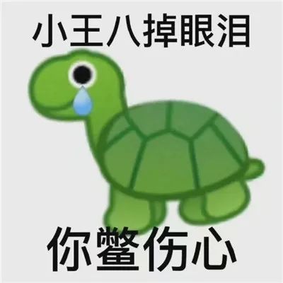 热门的沙雕聊天表情大全:小王八掉眼泪你鳖伤心