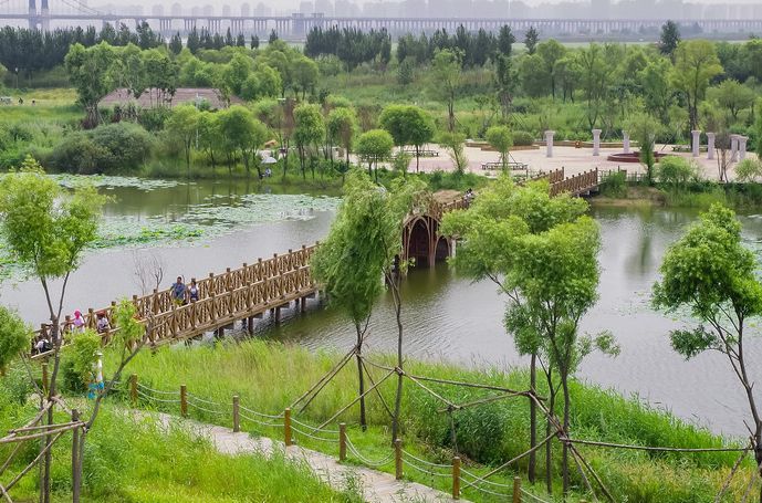 黑龙江景点推荐金河湾湿地植物园低音号免费语音导游