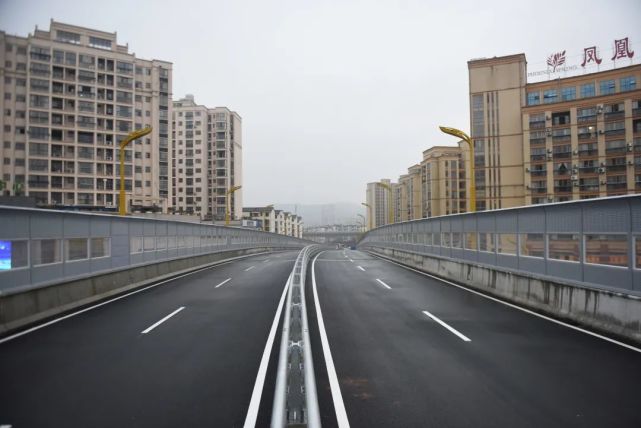 宜春大道高架桥正式开放通行