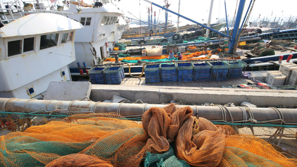中国南极海上捕捞船一年捕鱼虾量26万吨能赚两个亿