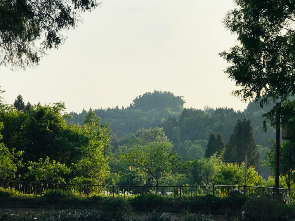 家人朋友一起到南充這個川北城市走走看看,也順道去這兩個5a景區玩玩