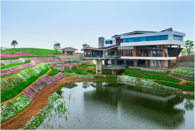 聚焦田园康养打造农村产业融合衢江样板浙江省衢州市衢江区新田铺国家