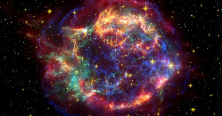研究表明，超新星爆炸或曾蒸发地球臭氧层并造成大规模灭绝灯塔水母属于什么生物