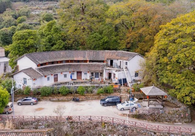 云霄福景白石村樱花唯美绽放赏樱正当时