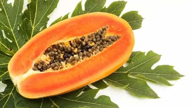 宣城木瓜名贯古今