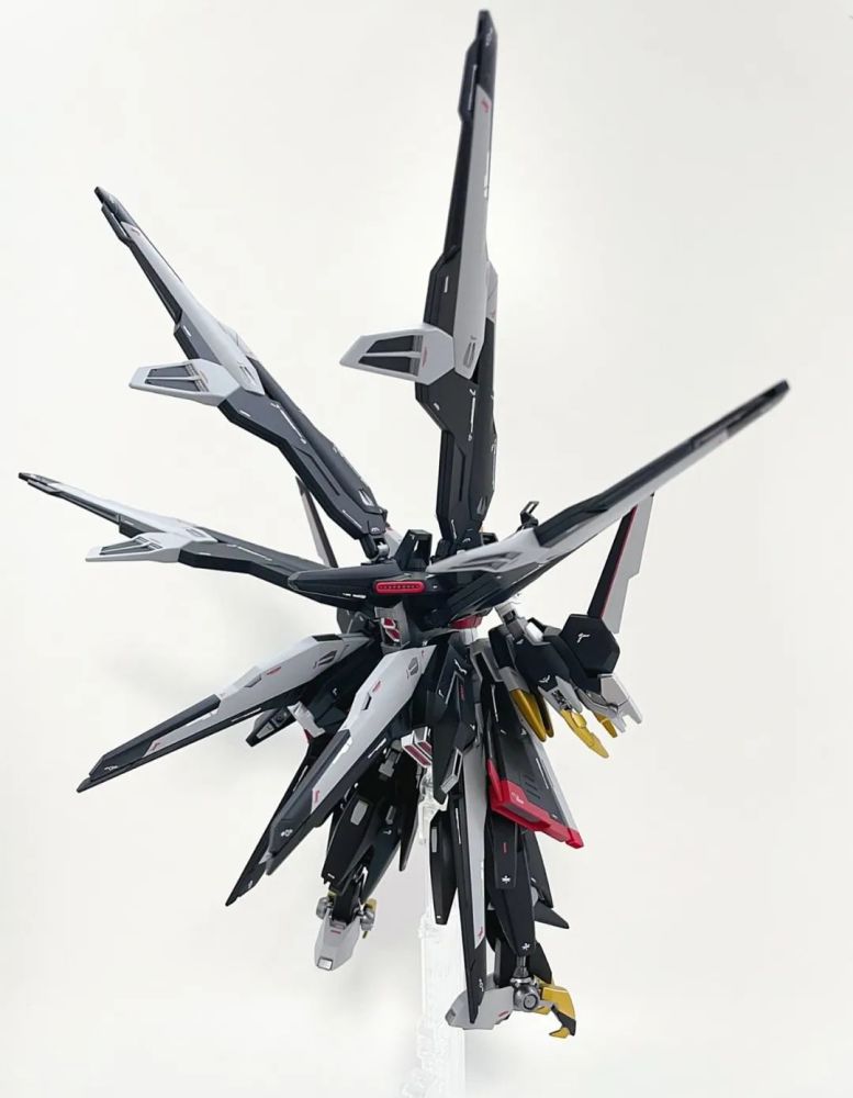 鸟化改造hgbf惊异强袭自由变身