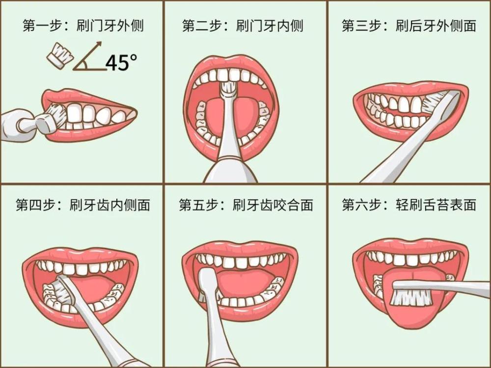 目前比較推崇的是巴氏刷牙法,網上有很多這類的視頻,大家可以去網上搜