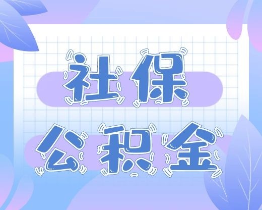 另外公積金與社保有一點不一樣 社保公司匯繳部分幾乎全部進入了統籌