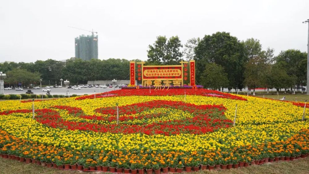 花坛惊喜地发现日报君路过云浮市人民广场时今日上午这不云浮大街小巷