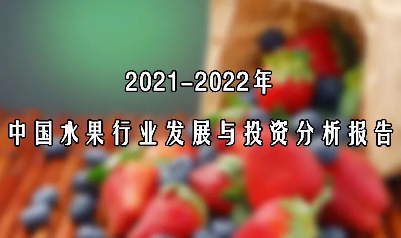 超特価 バイオレットキング １年生ウイルスフリー接木苗 ブドウ ※納期指定:発送予定２０２２年１２月中旬以降順次発送予定※ 果樹苗木 葡萄