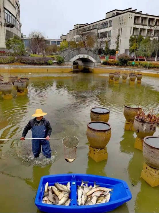 又是別人家的學校池州這所中學撈起校園大魚免費宴請師生