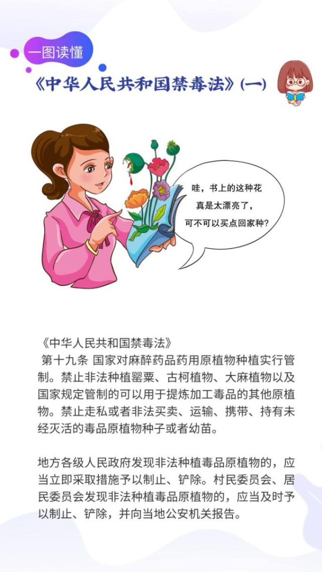 【一图普法】禁毒法