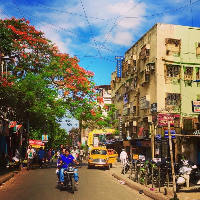 印度新德里街道图片