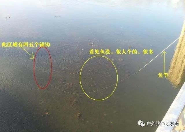 利用锚钩捕鱼的原理锚鱼对环境的一些危害