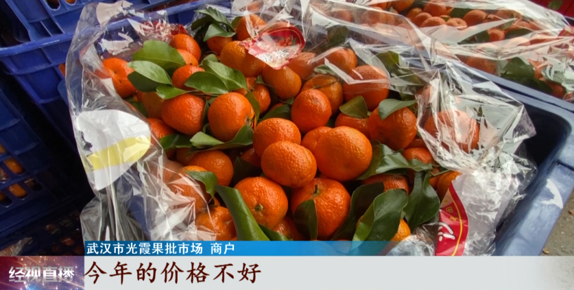 水果批发市场水果报价