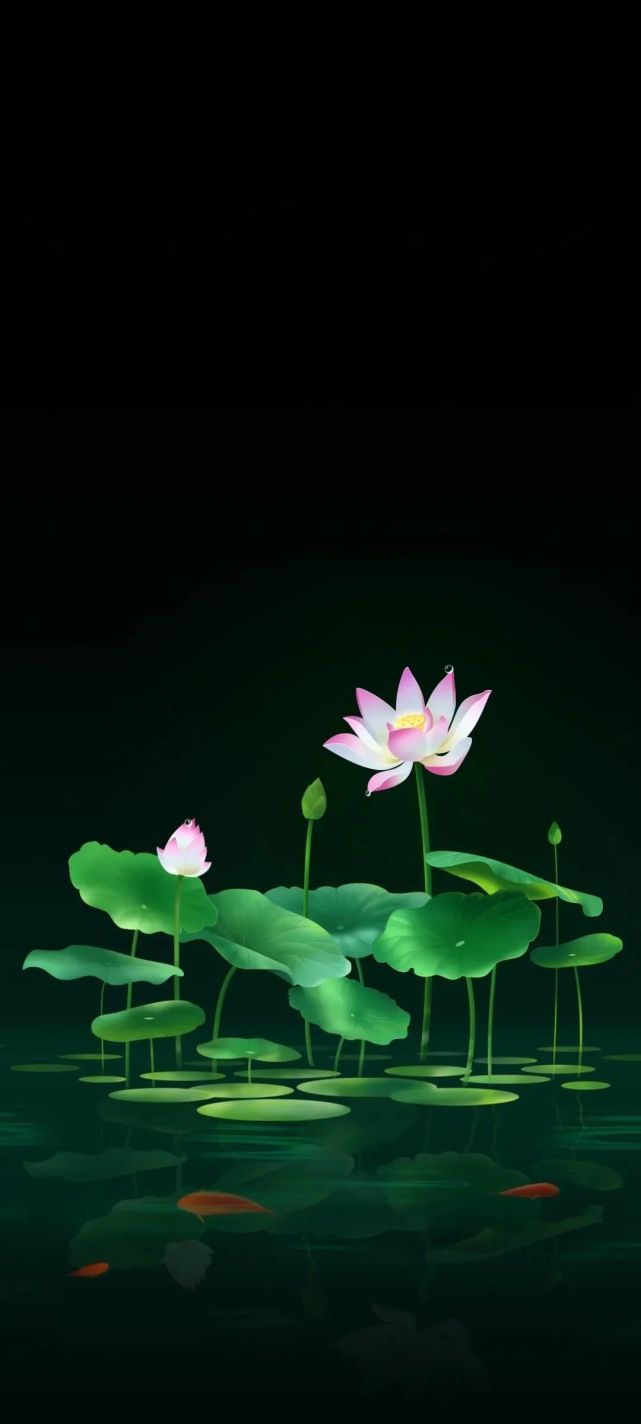 0125壁纸|个性全面屏壁纸