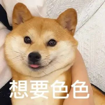 表情包發呆中