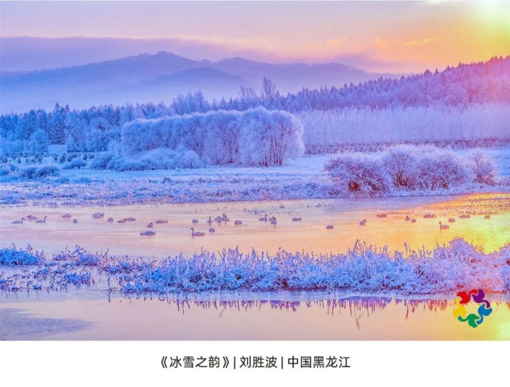 喜讯中国冰雪之韵冬奥之约摄影作品展密山市四位摄影家入展