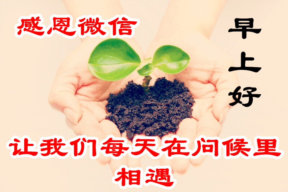 而你学会的最重要的一点,就是该怎么样一个人生活,那时候的你就是真正