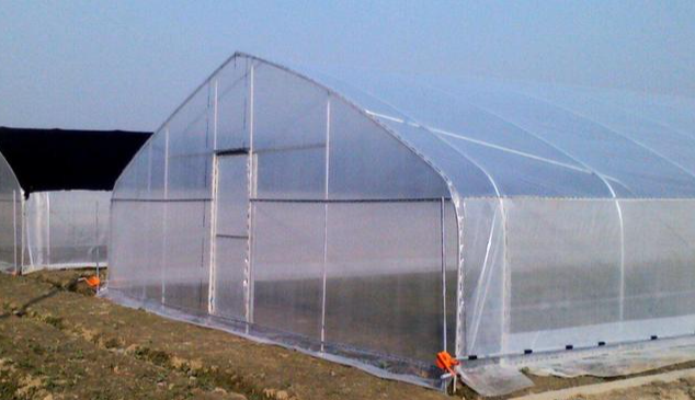 冷棚大小与温度关系?