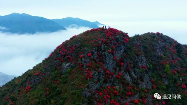 這個視頻每一幀都是大片,雪峰山城四季予你