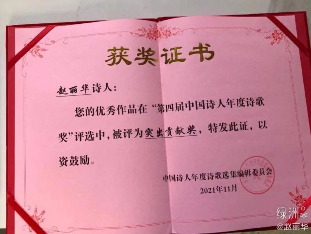 "梨花体"创始人赵丽华,到底是怎么混到今天的?