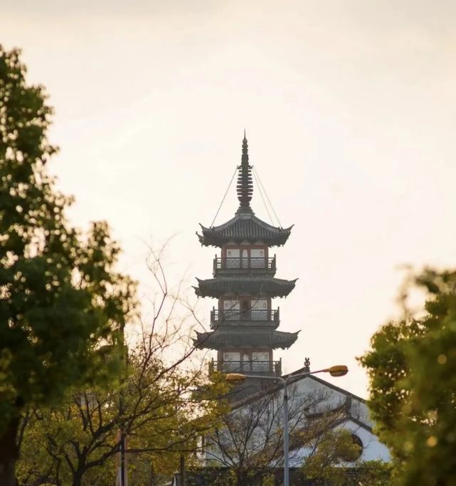 精彩來襲|一月旅遊小使者帶你玩轉法華塔|法華塔|嘉定區|嘉定竹刻博物