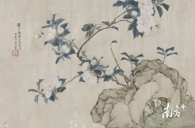 清·张崇光《春燕紫藤图》