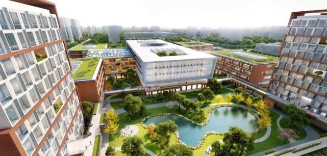 华二临港校区开建!60个班规模,2023年建成