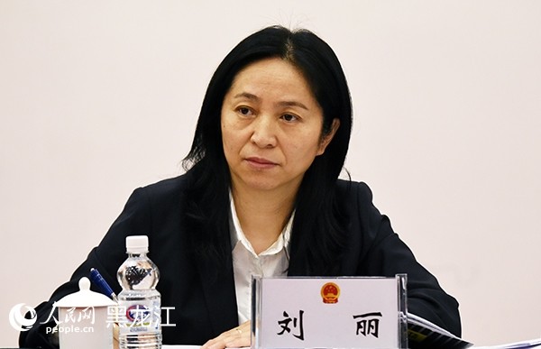 【两会热1℃】黑龙江省人大代表刘丽:加强边境城市公共卫生服务体系