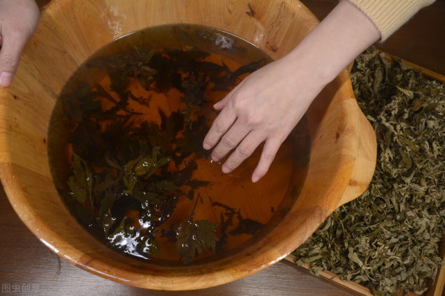 艾草养生好处多用艾叶泡脚祛湿降虚火这类人要注意了