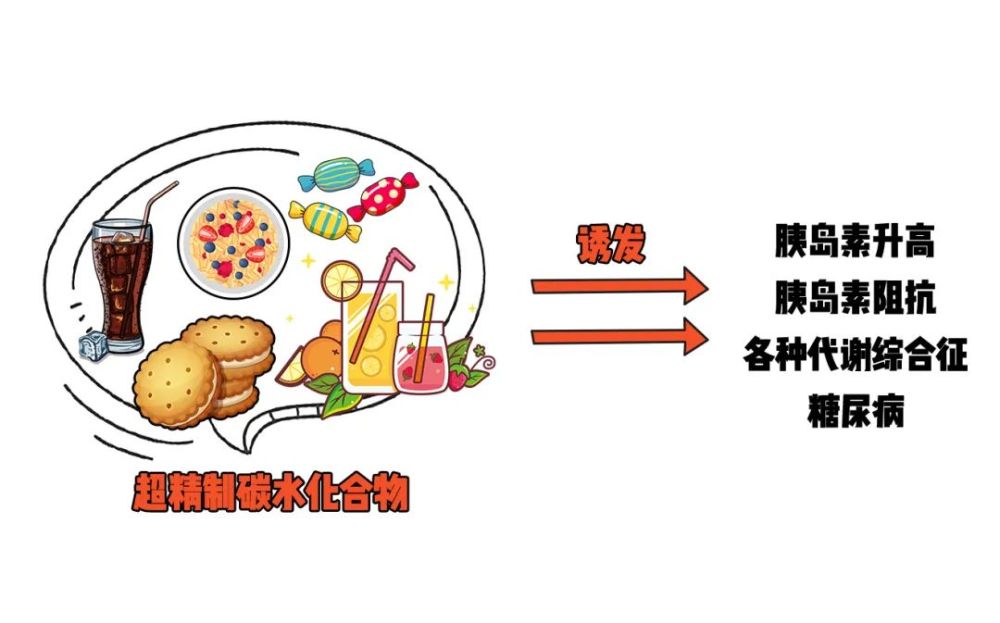 如何健康选择碳水化合物丨刺客轻生活